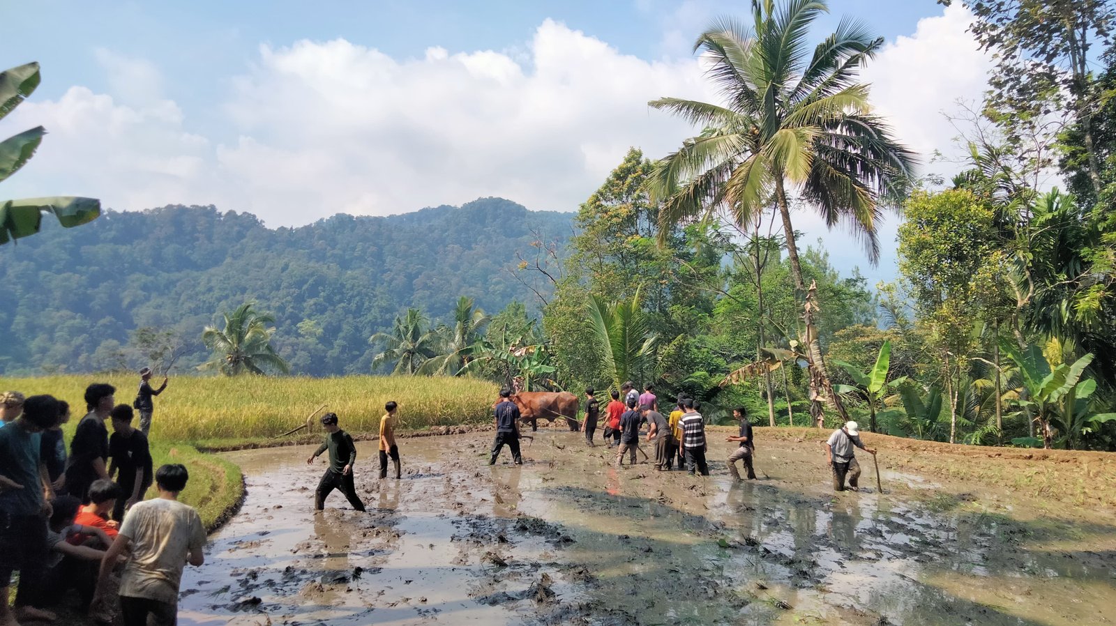 Kegiatan